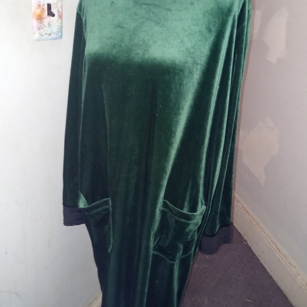 Style Studio Long Sleeve Green Velour Dress